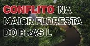 Amazônia Sem Lei: desmatamento, grilagem, garimpo e queimadas