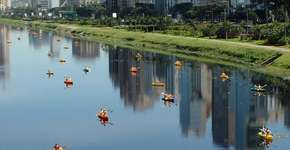 Foto: (Imagem sem texto alternativo disponivel ID [304789])