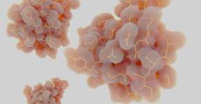 Foto: (selvanegra/istock)