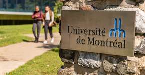 Foto: (Marc Bruxelle/iStock)