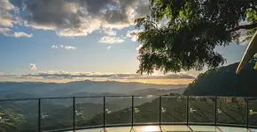 Foto: (Divulgação)