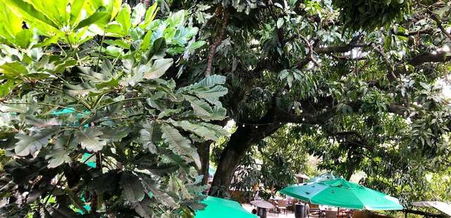 Rolê para as mães: saiba onde curtir muito com a criançada