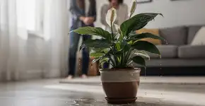 Foto: (Imagem sem texto alternativo disponivel ID [2734160])