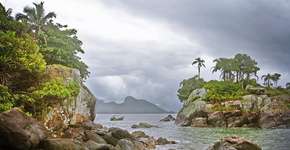 Foto: (Divulgação/PMP)