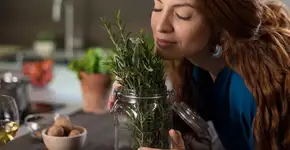 Alecrim: 5 motivos para ter em casa a planta que ajuda a limpar as energias