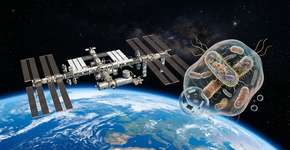 Organismos mutantes vindos do espaço poderiam resolver a crise global dos antibióticos