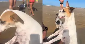 Foto: (Imagem sem texto alternativo disponivel ID [2703885])