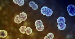 Foto: (katerynakon/Deposit Photos)