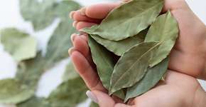 Você nunca mais vai deixar de colocar louro na geladeira depois de saber disso