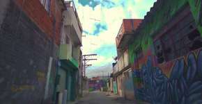 Foto: (Reprodução/Facebook@GerandoFalcoes)