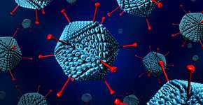 Foto: (wildpixel/istock)