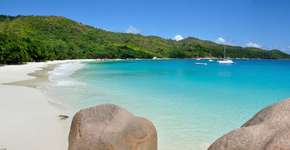 Foto: (Imagem sem texto alternativo disponivel ID [1868791])