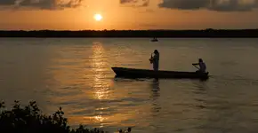 Foto: (Luiz Barrionuevo/iStock)