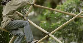 Foto: (Imagem sem texto alternativo disponivel ID [1610532])