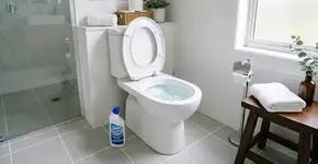 Por que colocam detergente dentro da privada antes de dormir? A solução simples para um problema comum no banheiro