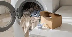 Foto: (Imagem sem texto alternativo disponivel ID [2732534])