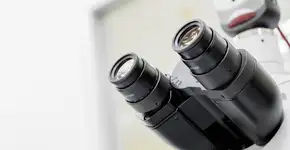 Cientistas estão chocados com criatura que sobrevive sem oxigênio