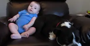 Foto: (Imagem sem texto alternativo disponivel ID [1350645])