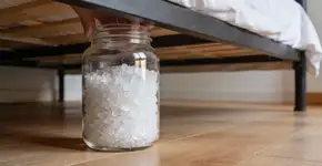 Foto: (Imagem sem texto alternativo disponivel ID [2684117])