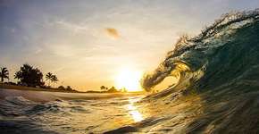 Foto: (Imagem sem texto alternativo disponivel ID [1394206])