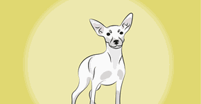 Foto: (Imagem sem texto alternativo disponivel ID [2621084])