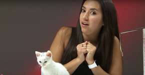 Foto: (Imagem sem texto alternativo disponivel ID [934062])