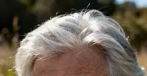 Adeus aos fios brancos, como é o truque que os cabeleireiros usam