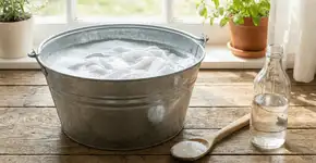 Foto: (Imagem sem texto alternativo disponivel ID [2755082])