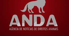 ANDA lança campanha para refazer site após ataque de hacker