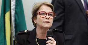 Foto: (Vinicius Loures/Câmara dos Deputados)