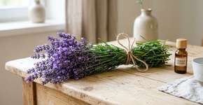 O que significa sentir cheiro de lavanda derrepente?