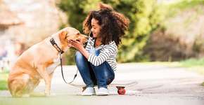 ‘Cãoterapia’: como os cães estão mudando a vida de quem precisa