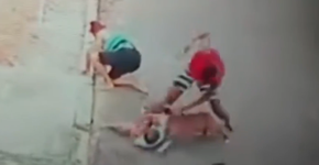 Novas imagens mostram início do ataque de pitbull a criança no Rio