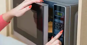 Foto: (Imagem sem texto alternativo disponivel ID [2449462])