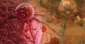 Foto: (vitanovski/DepositPhotos)