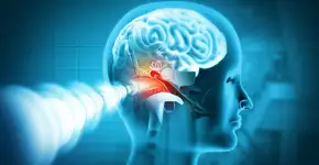 Foto: (Mohammed Haneefa Nizamudeen/istock)