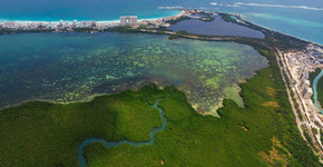 Dia da Terra: mais de 400 abaixo-assinados pelo meio ambiente na América Latina