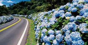 Foto: (Imagem sem texto alternativo disponivel ID [829702])