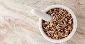 Tribulus terrestris: a substância que ajuda a ganhar músculos e promete melhorar a libido