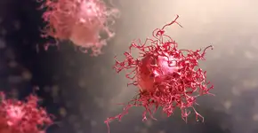 Fruta que todos conhecem pode prevenir câncer no sistema digestivo