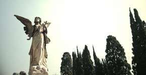 Em novembro, Cemitério da Consolação terá visitas noturnas por túmulos famosos