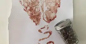 Bela Gil sobre comer placenta: ‘o que vale é a escolha da mulher’