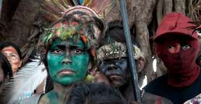 Plataforma para professores tem 130 filmes com temas socioambientais