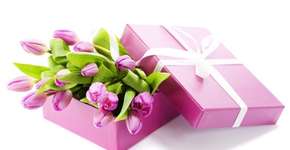 Foto: (Imagem sem texto alternativo disponivel ID [839373])