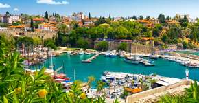 Foto: (Aleh Varanishcha/iStock)