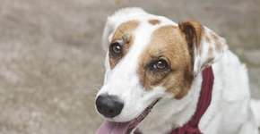 Foto: (Imagem sem texto alternativo disponivel ID [867627])