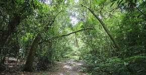 Foto: (Foto: Divulgação.)