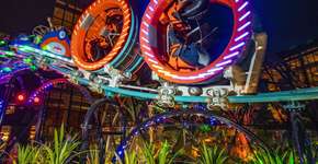 Foto: (Divulgação)