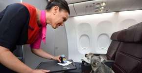 Foto: (Imagem sem texto alternativo disponivel ID [1867930])