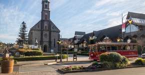 Foto: (iStock/diegograndi)